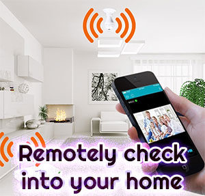  It allows you to remotely check into your home
