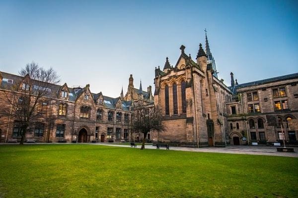 What should you know about working in law