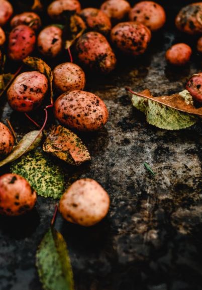 Store-Potatoes-in-a-Cool-Dark-Place