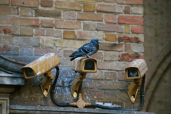 Wired-Security-Camera