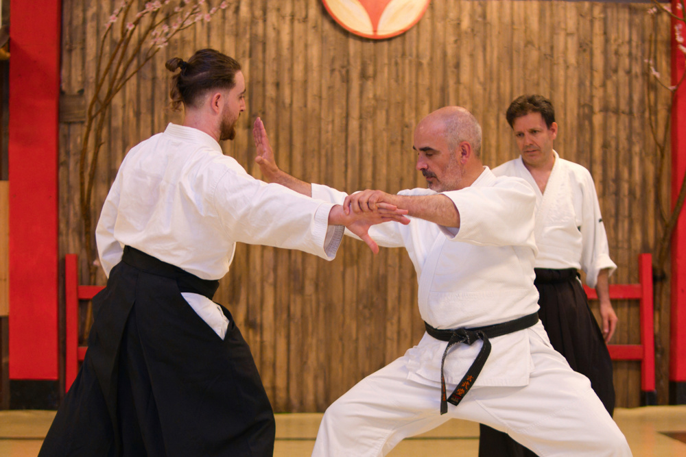 Aikido master teaching a defensive technique to his student, showcasing the principles of this Japanese martial art
