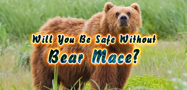 Will You Be Safe Without Bear Mace?