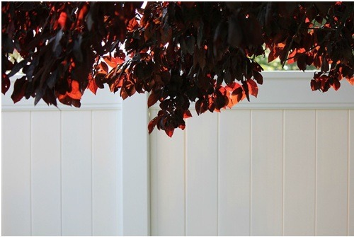 The Benefits of Vinyl Privacy Fencing for Your Home