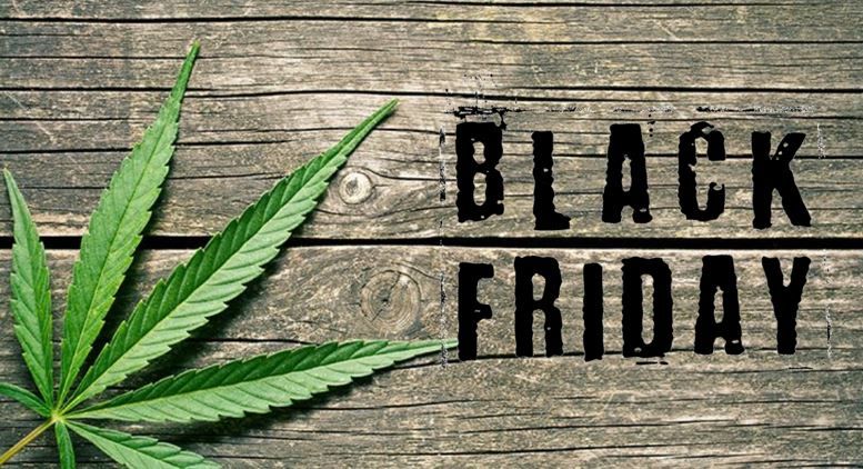 CBD Strains to Buy on Black Friday