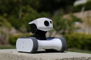 Riley Home Defense Moveable Robot