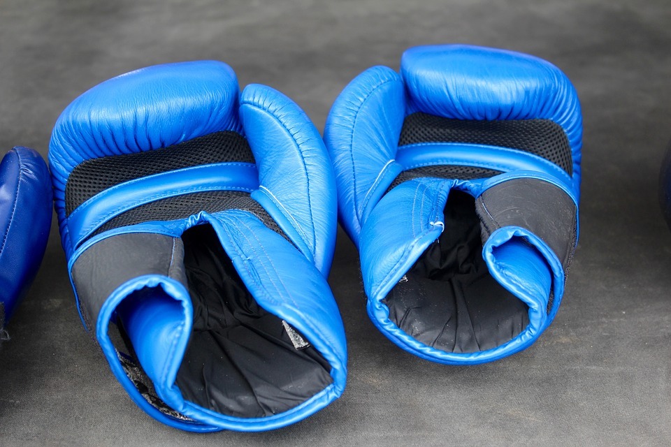 blue boxing gloves