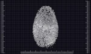 Biometric-Safe