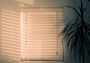 White-window-blinds